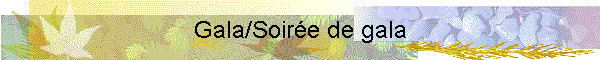Gala/Soirée de gala