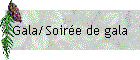 Gala/Soirée de gala
