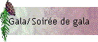 Gala/Soirée de gala