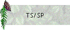 TS/SP
