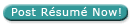 Post Resume Now!