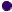 bullet